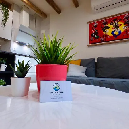 Apartment Gozamena